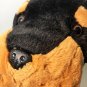 Kellytoy Rottweiler Plush XLARGE Stuffed Animal Black Brown Soft Cuddly Toy 19"