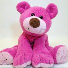 RARE Commonwealth Teddy Bear Pink Berry Floppy Stuffed Animal Plush Beanie 9"