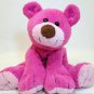 RARE Commonwealth Teddy Bear Pink Berry Floppy Stuffed Animal Plush Beanie 9"