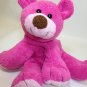 RARE Commonwealth Teddy Bear Pink Berry Floppy Stuffed Animal Plush Beanie 9"