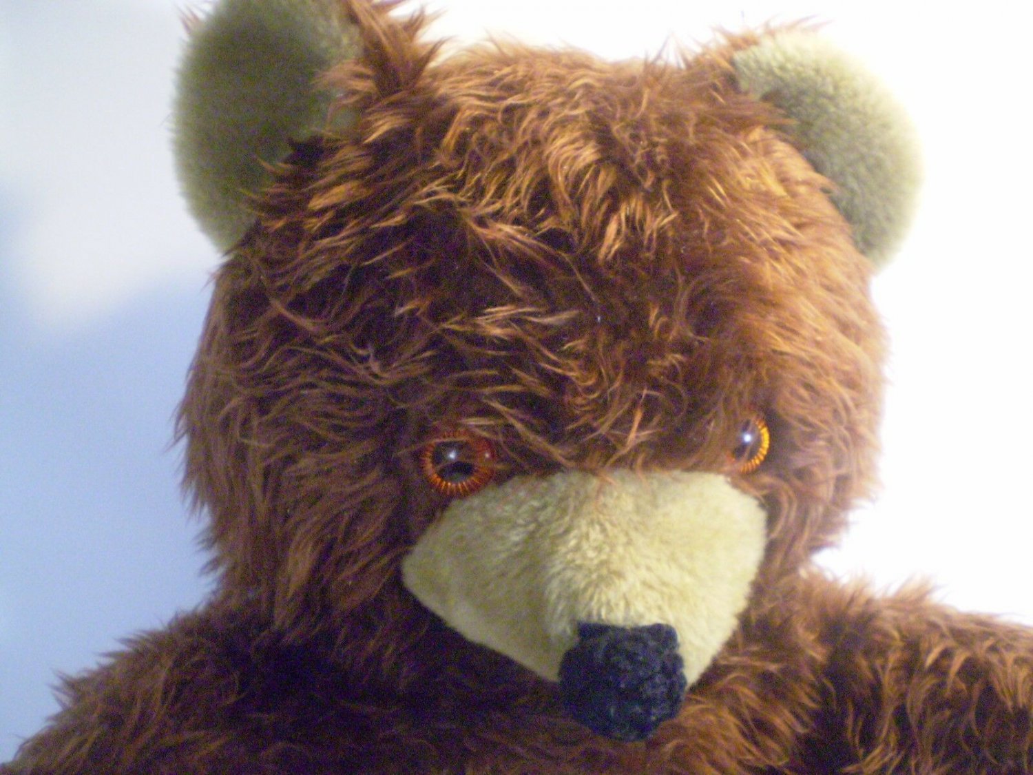 grizzly bear plush toy