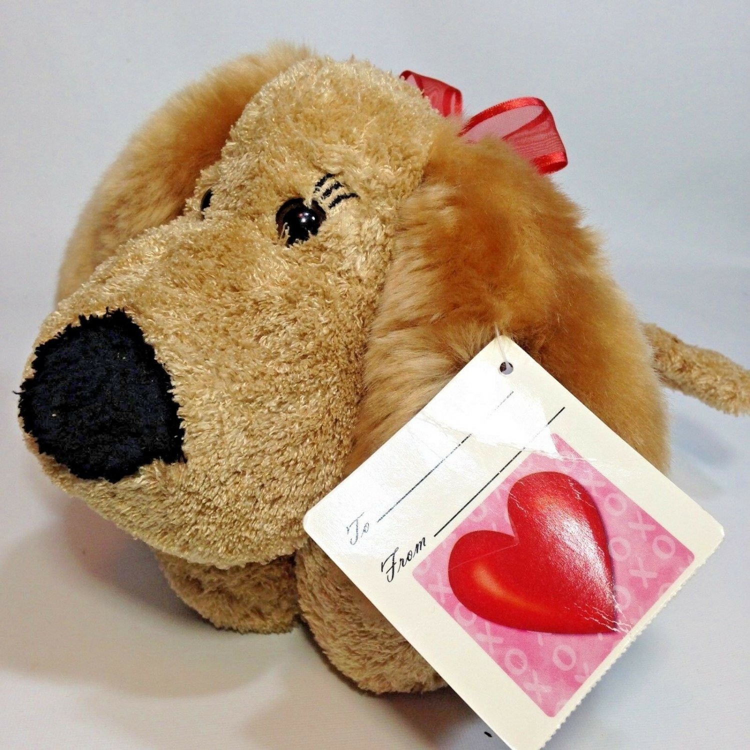 dog teddy with heartbeat