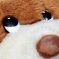 Vintage Mighty Star Plush Sitting Puppy Dog Brown Stuffed Animal 10" Korea #4514