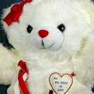 Dan Dee Teddy Bear Plush RARE Vintage All We Need Is Love White Stuffed ANimal
