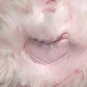 Oshko Pink Teddy Bear Soft Furry Stuffed Animal w Sweet love Ribbon Bow 12"