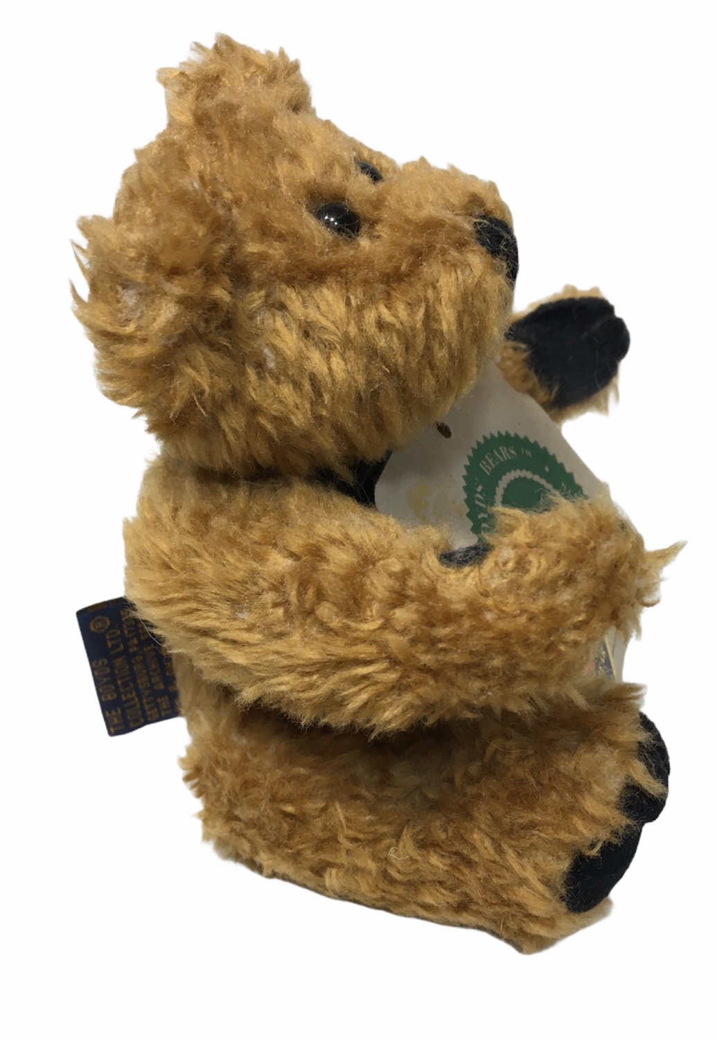 plush brown bear