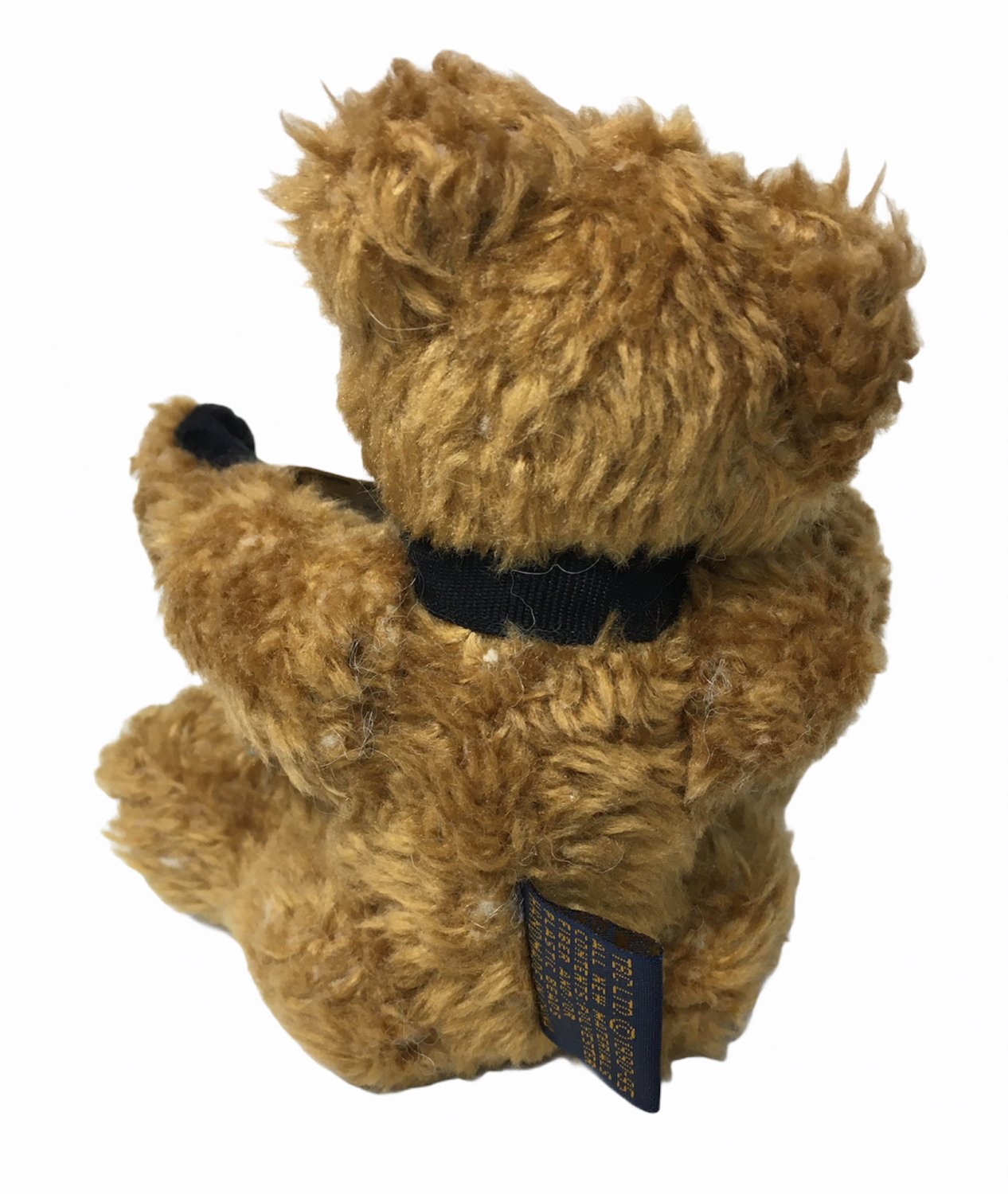 plush brown bear