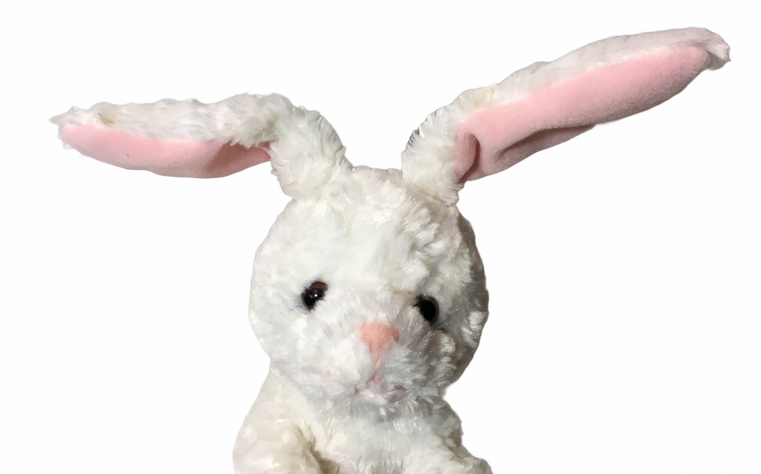 gund white bunny