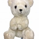 Dakin Teddy Bear Plush Polar White Stuffed Animal Korea RARE Vintage 1977
