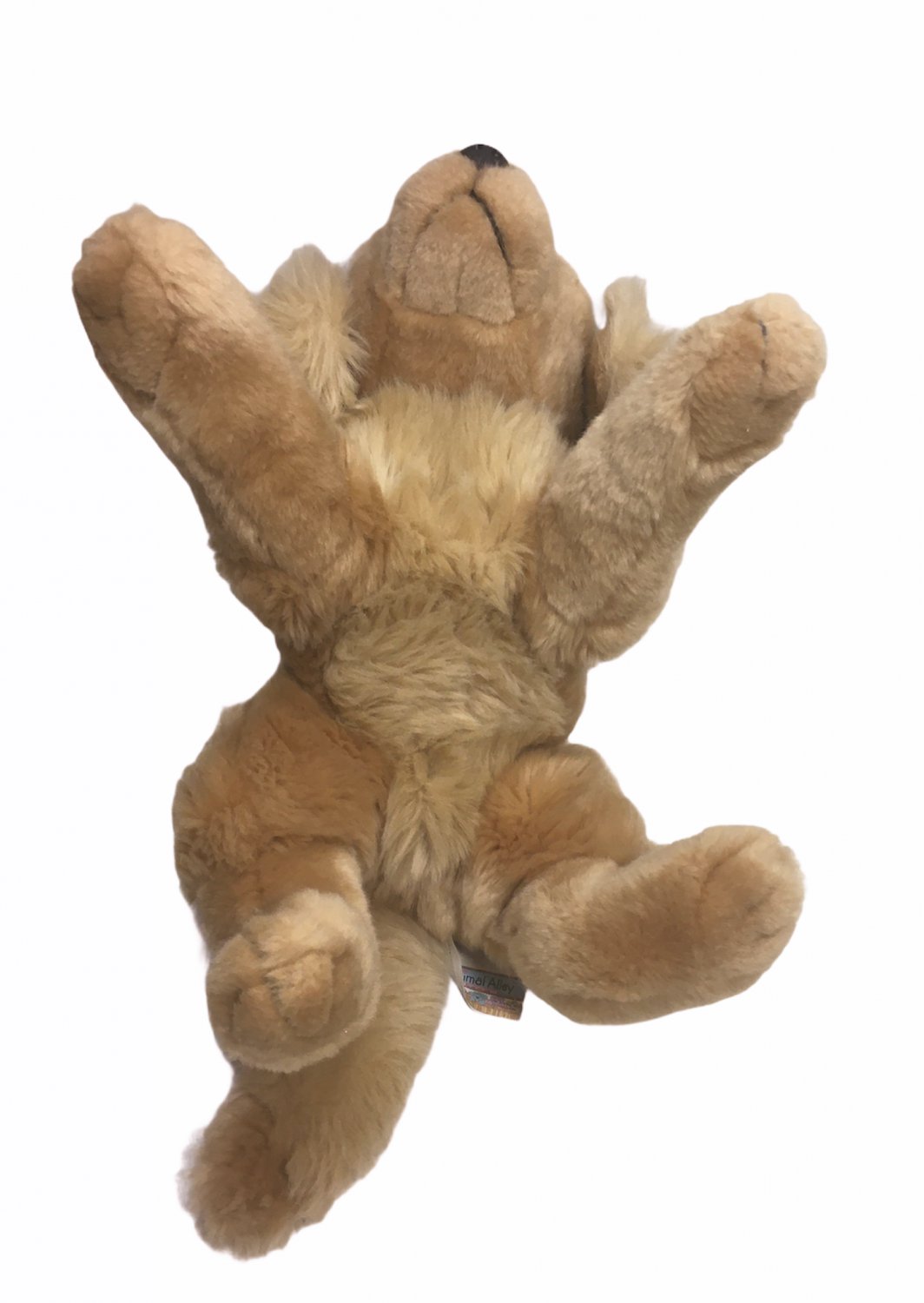 animal alley golden retriever