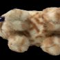 RARE Gund Catnip Plush Spotted Toyger Kitten Cat Tabby Mini 7in. Stuffed Animal