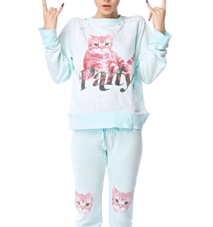 wildfox PARTY CAT DESTROYED KITTY SWEATER Long Sleeve TOP