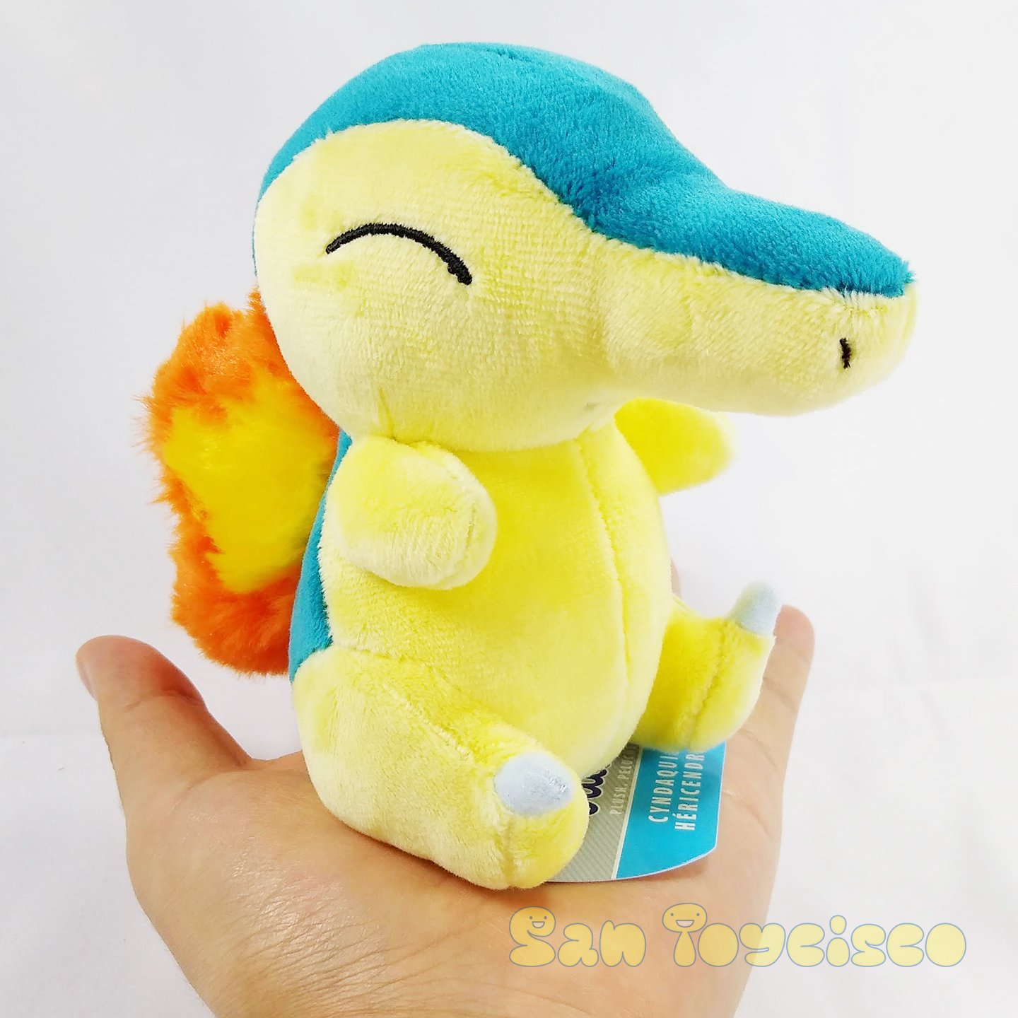 pokemon center cyndaquil