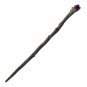 Elden's Ring Meteor Staff elden ring