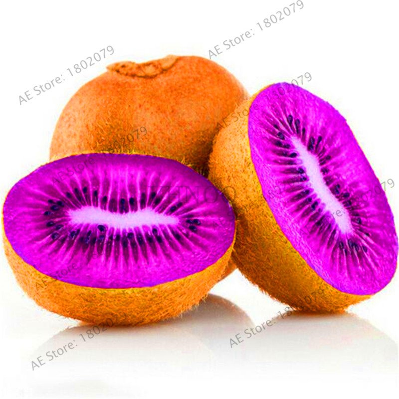 100 Pieces Mini Kiwi fruit Garden Thailand mini Kiwi Fruit floresling Seeds