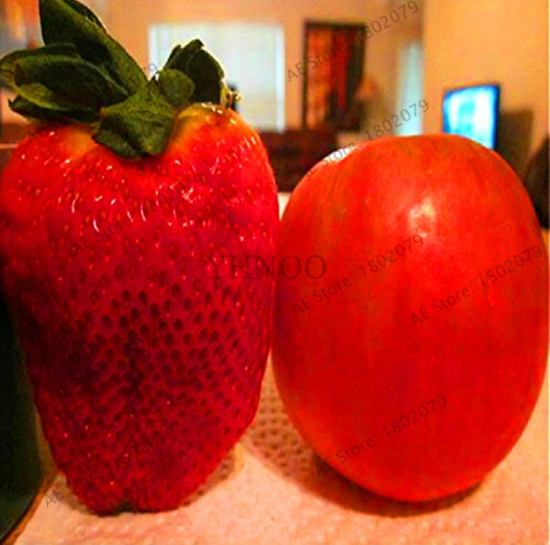 100 Pieces Giant Japan Strawberry Bonsai Giant Red Strawberry Organic Plants Seeds