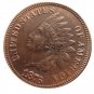 US 1876 Indian Head One Cent Copper Copy Coins