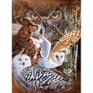 Signature Collection 11 Owls Wildlife Raschel Soft Plush Blanket Queen Size