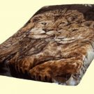 Licensed Solaron Lions Korean Thick Mink Soft Plush King Size Blanket Brown