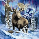 Signature Collection Alaska Moose Northern Lights Soft Plush Blanket Queen Size