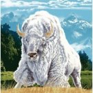 Signature Collection Sacred White Buffalo Plush Raschel Queen Size Blanket