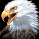 Signature Collection Spirit Indigo American Bald Eagle Plush Blanket Queen Size