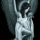 DGA Guardian Angel Sword Religious Praying Stretched Canvas Wall Art 12x16 Inch