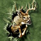 Signature Collection Deer Breakout Camo Mink Rachel Plush Blanket Queen Size