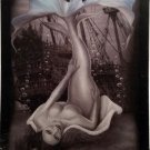 DGA Mother of Pearl Mermaid Pirates Ship Stretched Canvas Wall Art 12x16 Inches