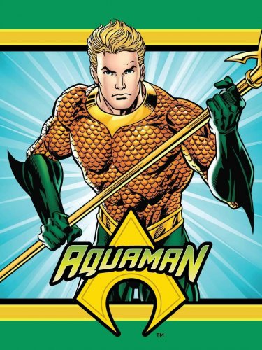 Details about   DC Comics Classic Aquaman Justice League Atlantis Twin Size Plush Throw Blanket 