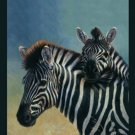 Signature Collection Safari Zebra Raschel Soft Plush Queen Size Blanket