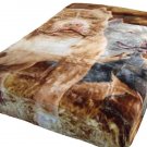 JPI American Bully Pit bull Dogs Queen Size Soft Plush Lightweight Blanket