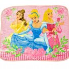 Disney Princess Cinderella and Friend Plush Baby Size Blanket Beautiful Dreamers