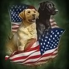JQ Select Labrador Retriever Patriotic Dogs American Soft Queen Size Blanket