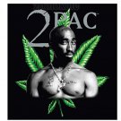 Licensed Tupac Makaveli Plush Soft Thick Queen Size Blanket Cannabis leaf 2 Pac