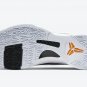 Zoom Kobe 5 Protro Alternate Bruce Lee CD4991 101