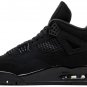 Air Jordan 4 Retro Black Cat 2025 FV5029-010