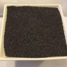 TASMANIAN PURPLE PAPAVER SOMNIFERUM POPPY SEEDS FIVE POUNDS