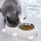 Dog Cat Bowls Set, Non Slip Stainless Steel 2 Bowl With Bottle, One For Water Drink One For Food Eat