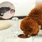 Dog Cat Bowls Set, Non Slip Stainless Steel 2 Bowl With Bottle, One For Water Drink One For Food Eat