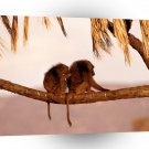 Baboons Companionship Kenya Africa A1 Xlarge Canvas