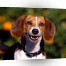 Beagle In The Mood A1 Xlarge Canvas