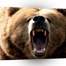 Bear Feeling Grizzly A1 Xlarge Canvas