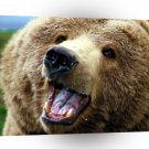 Bear Grizzly Attack A1 Xlarge Canvas