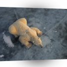 Bear Ice Fishing A1 Xlarge Canvas