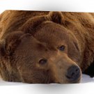 Bear Lifes A A1 Xlarge Canvas
