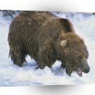 Bear Thats My Fish Brown Alaska A1 Xlarge Canvas