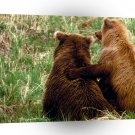 Bear Youve Got A Friend In Me A1 Xlarge Canvas