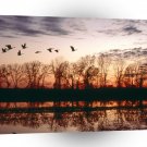 Bird Canada Geese Migrating Missouri A1 Xlarge Canvas