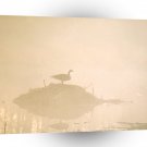 Bird Canada Goose Misty Marsh A1 Xlarge Canvas
